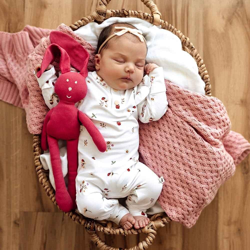 SHK Ladybug Growsuit