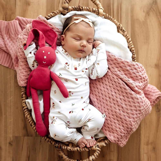 SHK Ladybug Growsuit