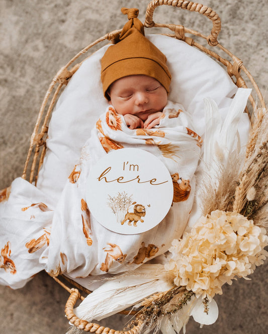 lion-organic-muslin-wrap-image