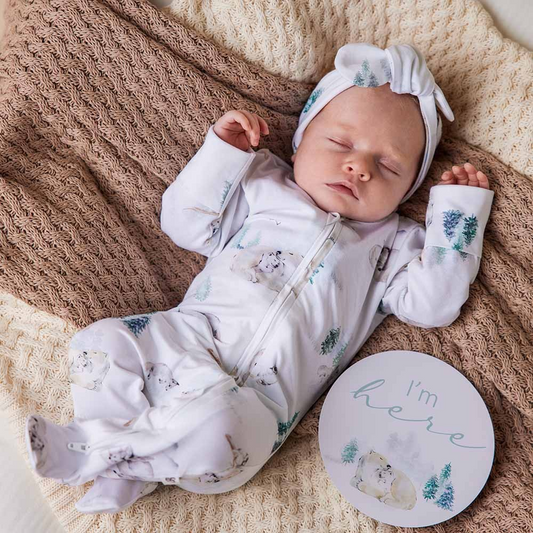SHK - Arctic Zip Sleepsuit