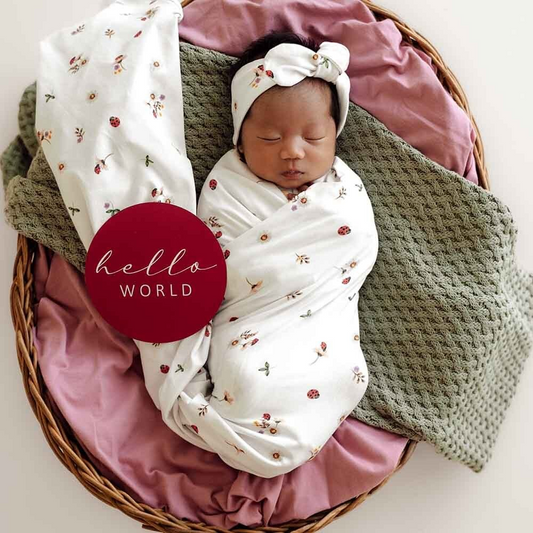 SHK Ladybug Jersey Set