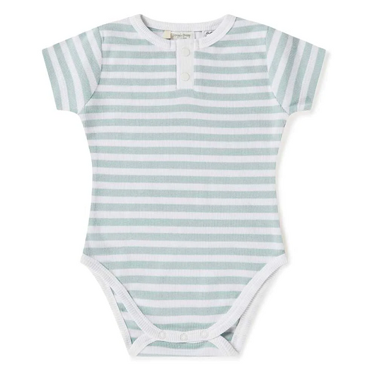 SHK SS Bodysuit Sage Stripe