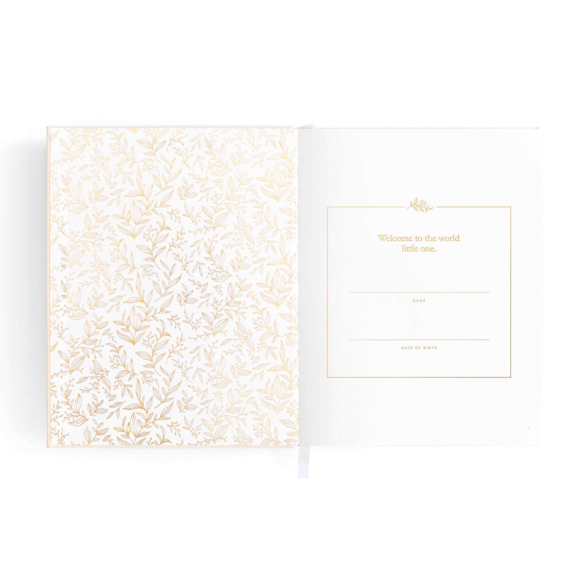 fox-fallow-mini-baby-book-oatmeal-image